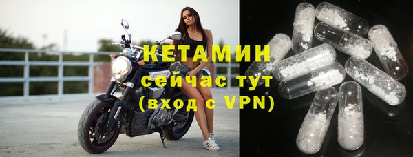 индика Белокуриха