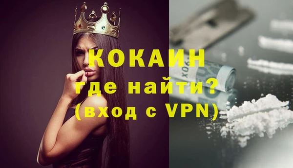 индика Белокуриха