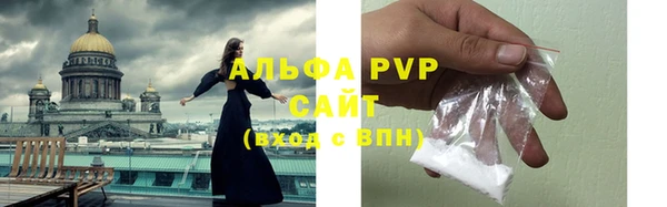 индика Белокуриха