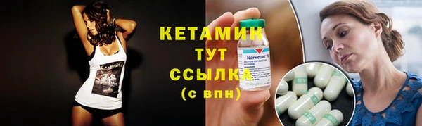 индика Белокуриха