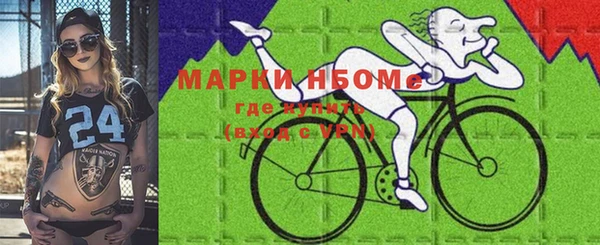 индика Кинешма