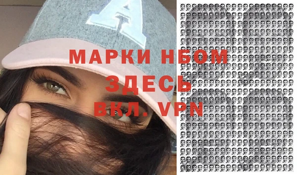 индика Белокуриха