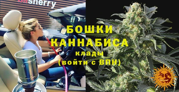 индика Белокуриха