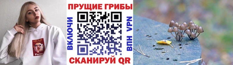Галлюциногенные грибы GOLDEN TEACHER  ОМГ ОМГ ССЫЛКА  Гороховец 